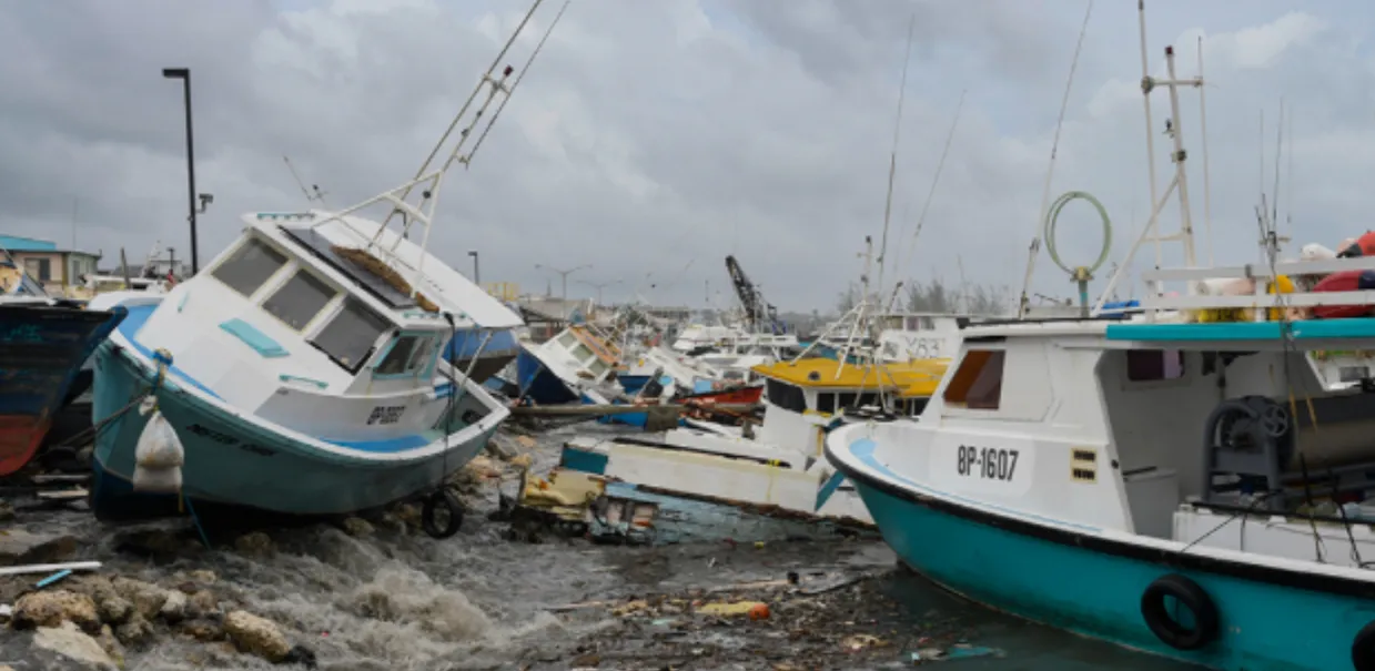 Beryl's damages