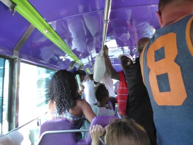bus