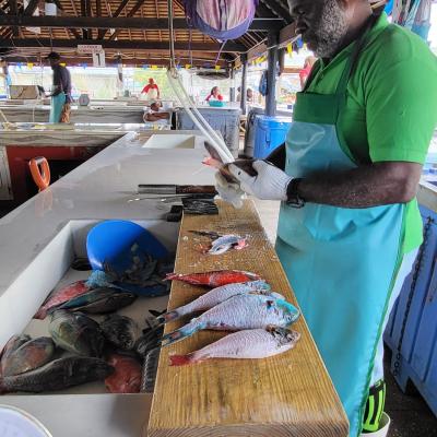 Fish Market