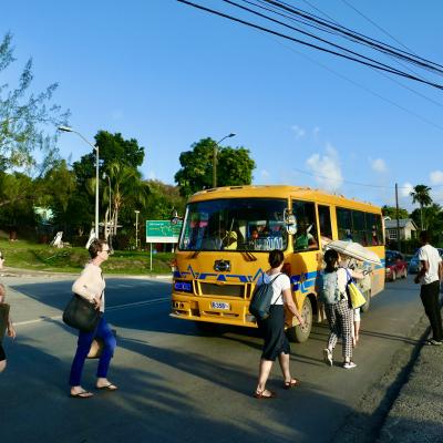 Yellow Bus